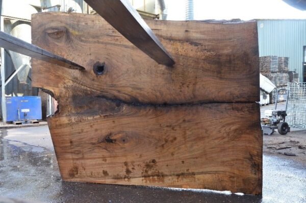 English Walnut Slab - Image 2