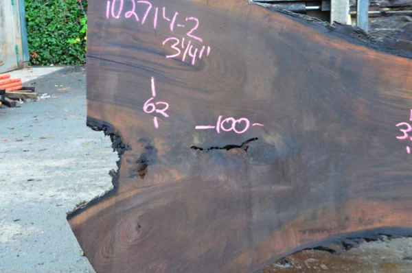 Oregon Black Walnut Slab - Image 3