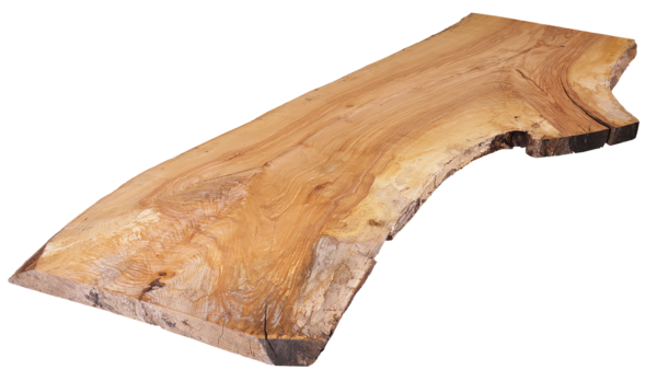 Ash Live Edge Slab